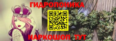 молекула духа Жуковский