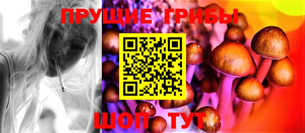 Галлюциногенные грибы Magic Shrooms Михайловск