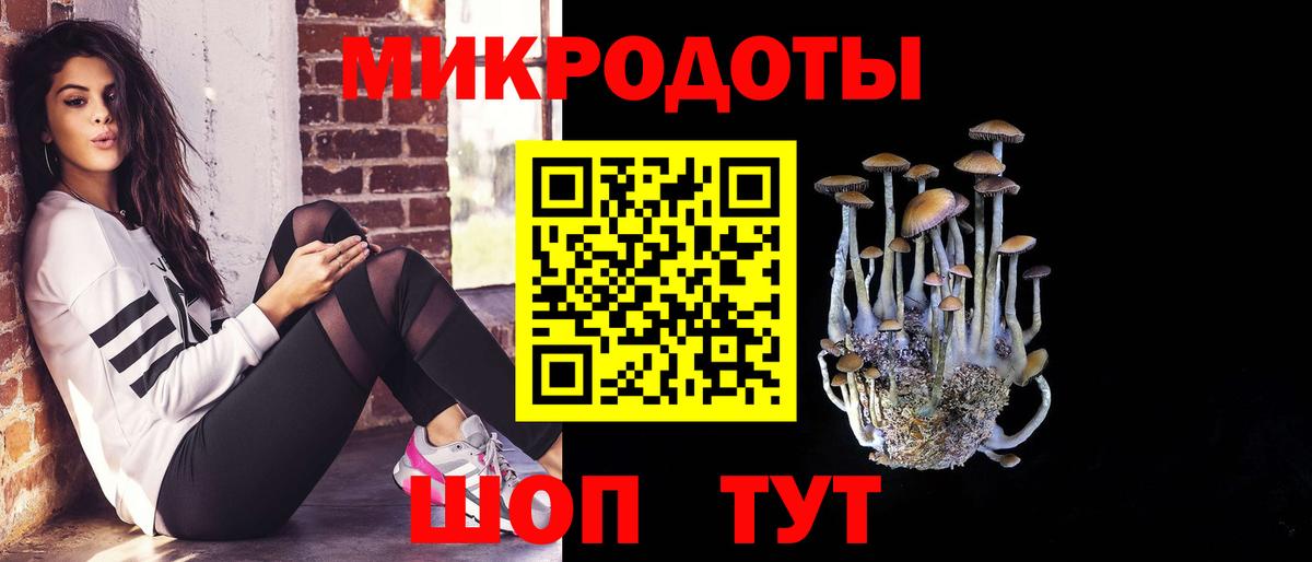 Псилоцибиновые грибы MAGIC MUSHROOMS  Вход с VPN  Михайловск 