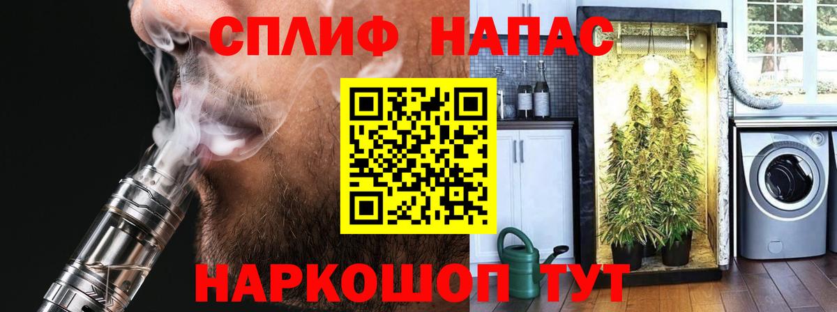 Конопля марихуана Михайловск